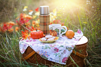 초보자를 위한 피크닉 준비 체크리스트! 빠짐없이 챙기자