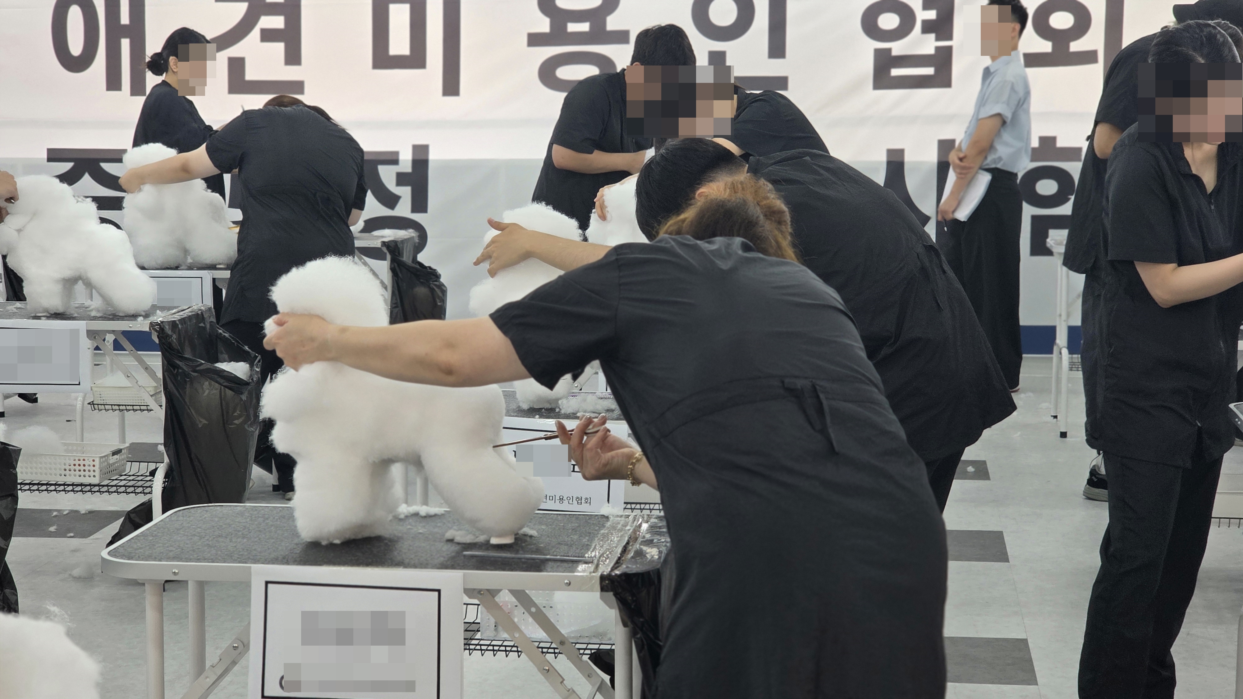 애견미용사자격증시험