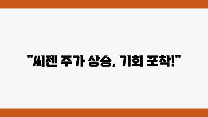 씨젠 주쫊 정보 진단 키트 관련주 주식 정보