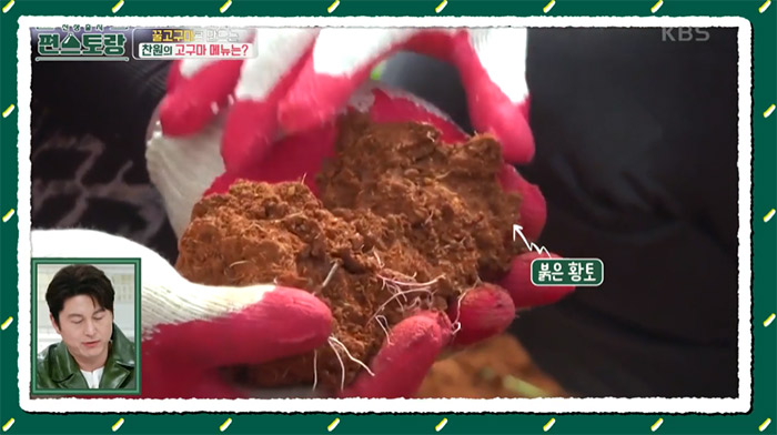 바삭고구마김치전