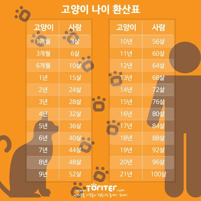 &amp;quot;고양이