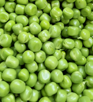 콩나물 효능 부작용 숙취 칼로리