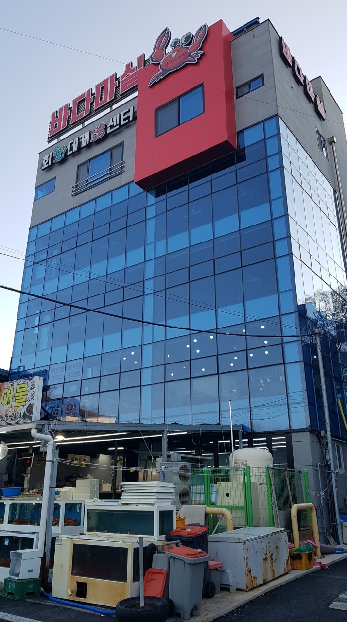 울진 후포항 맛집 바다마실