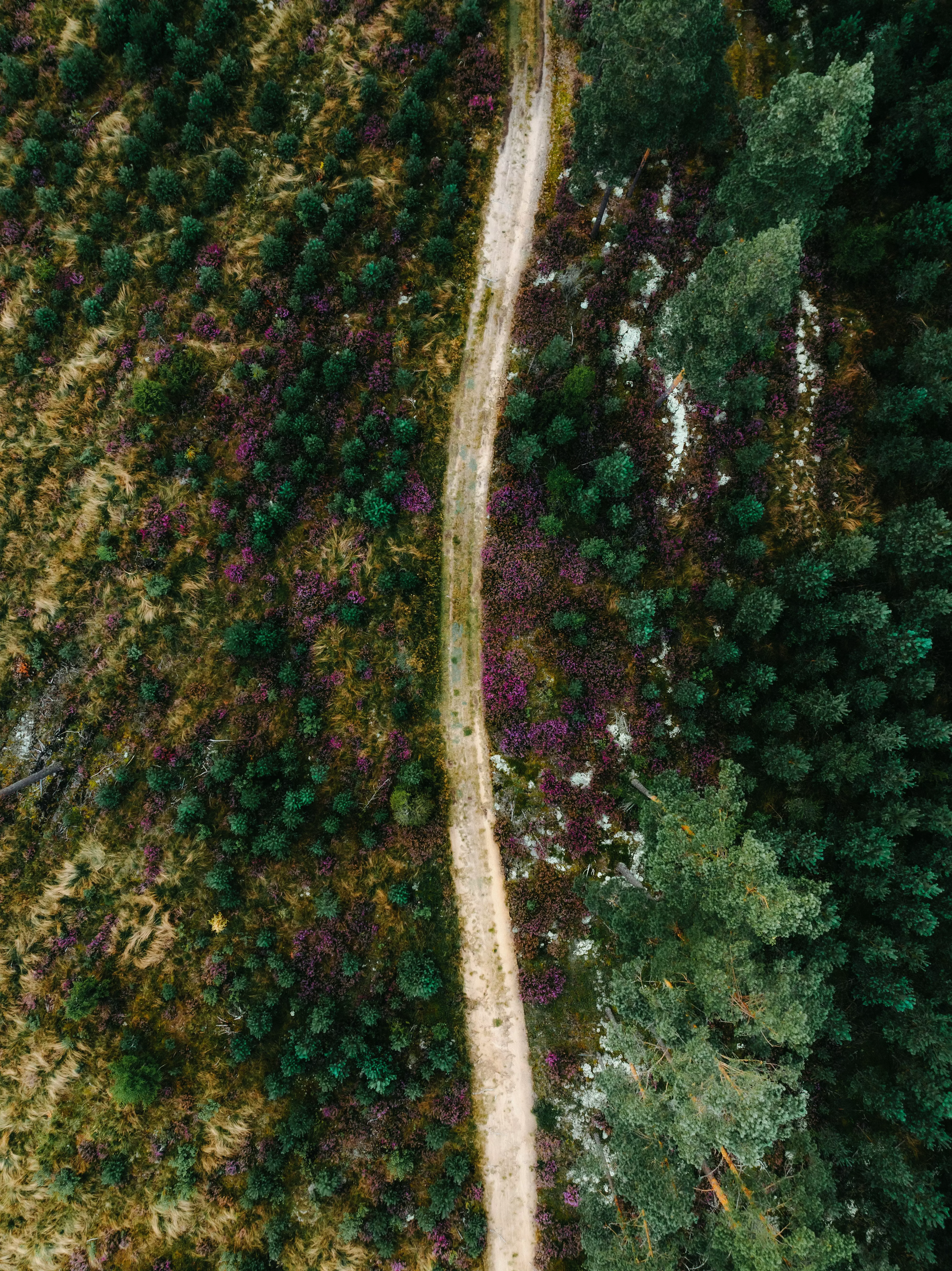 안세영 월드 투어 호주오픈 우승