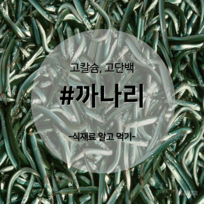 까나리