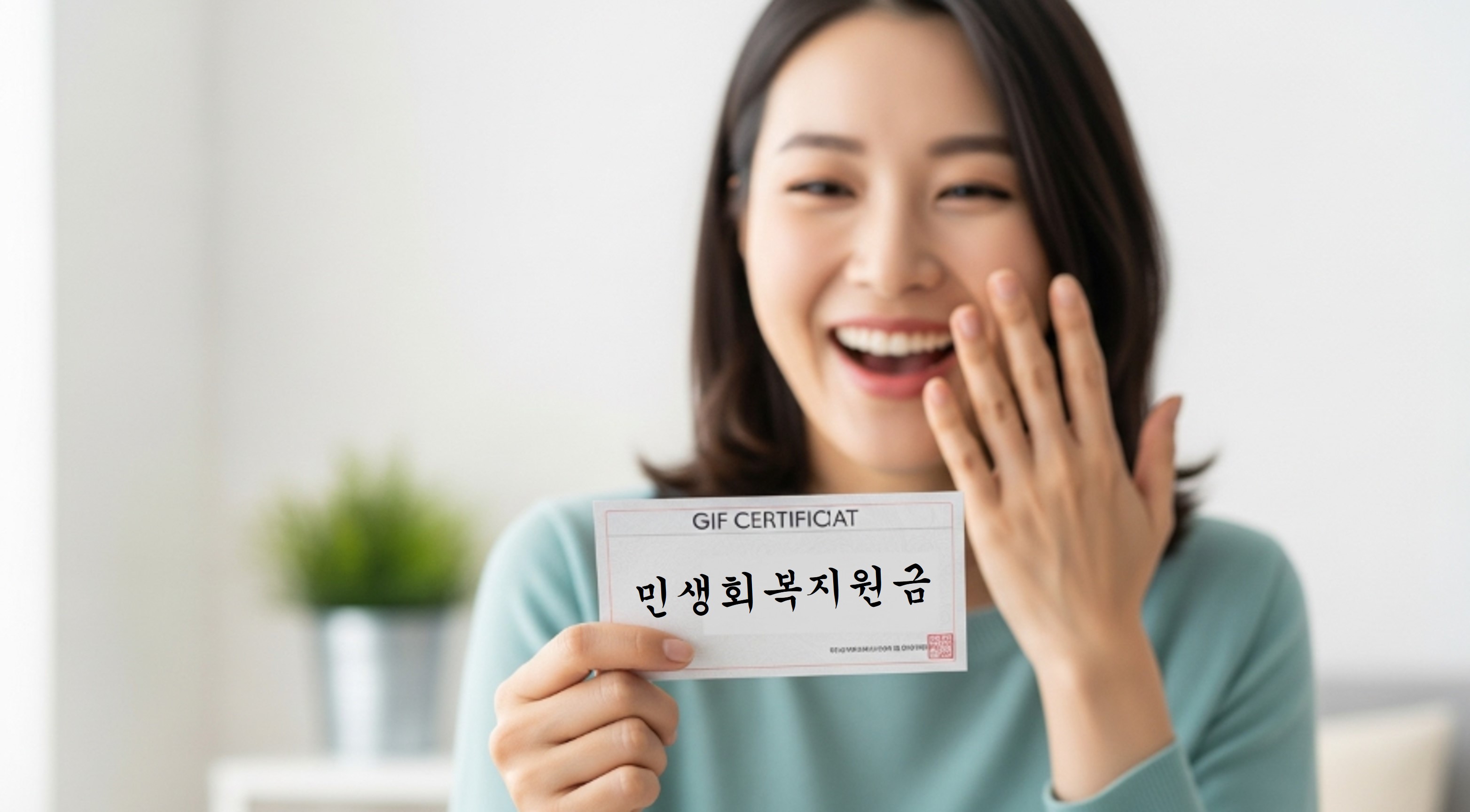 민생회복 소비쿠폰 사용처