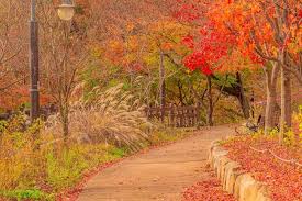 팔공산 단풍 명소