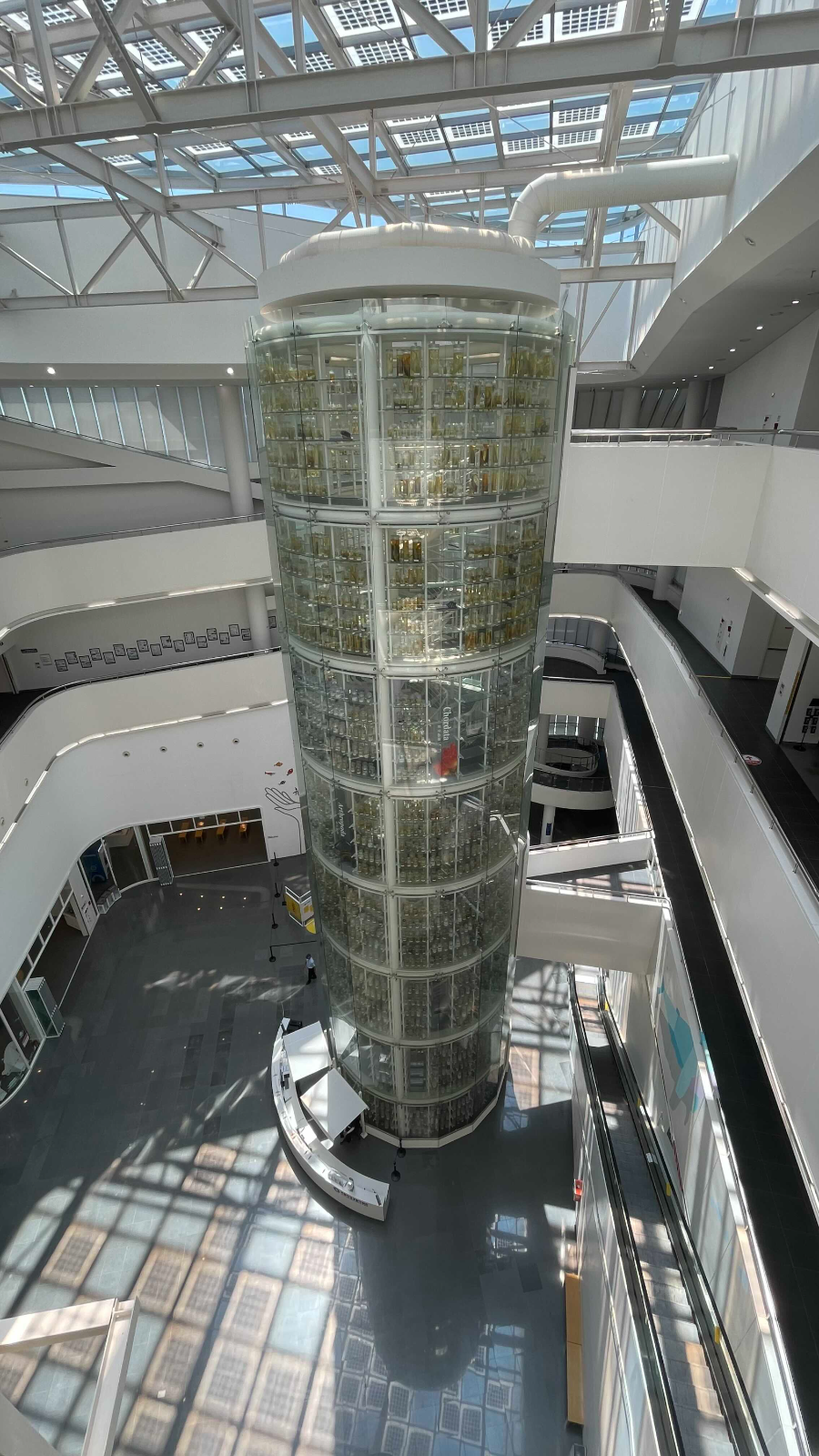 장항 국립해양생물자원관 씨큐리움