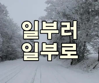 일부러 일부로 맞춤법 뜻 사투리_18