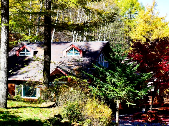 치악산 자연휴양림2