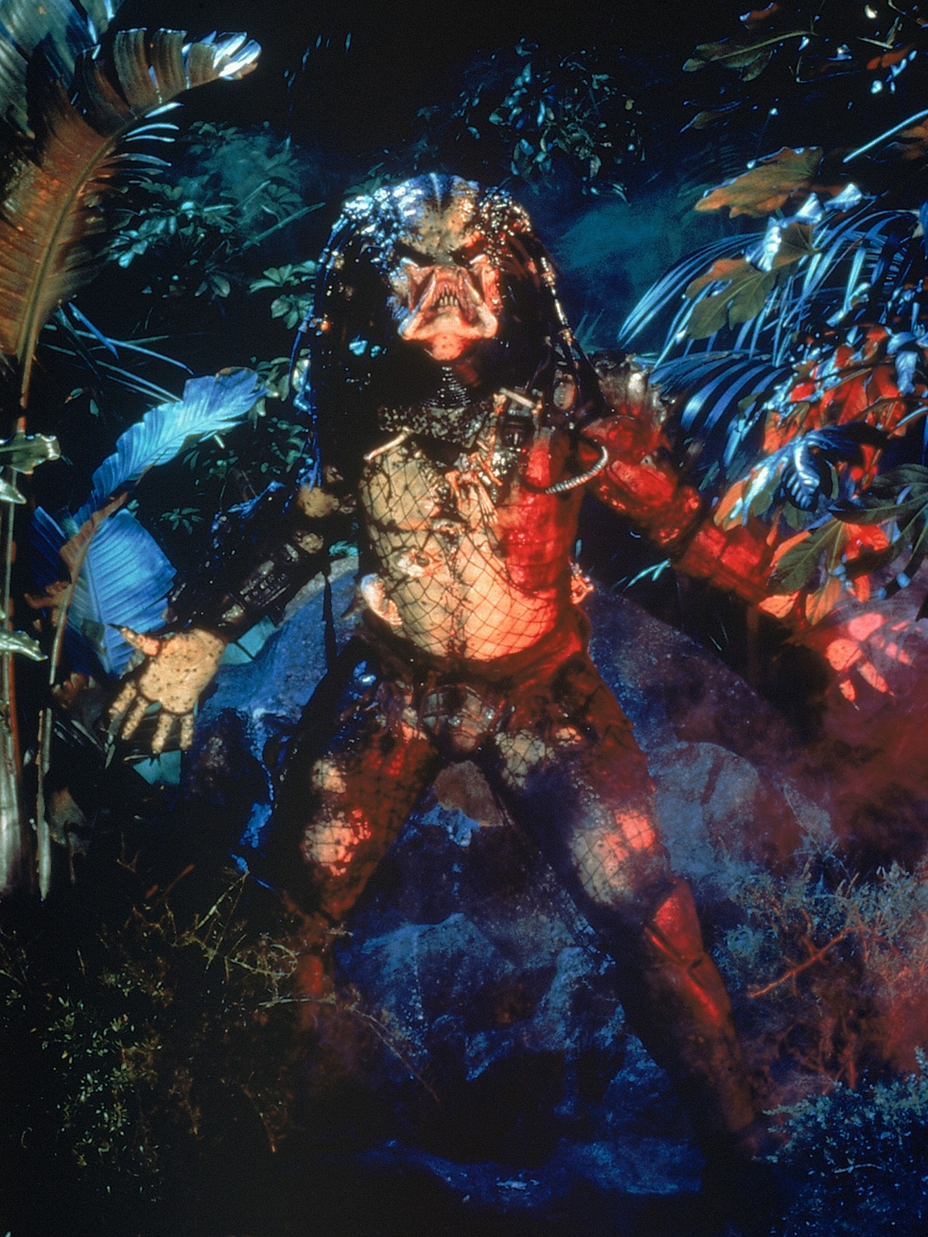 프레데터 연대기