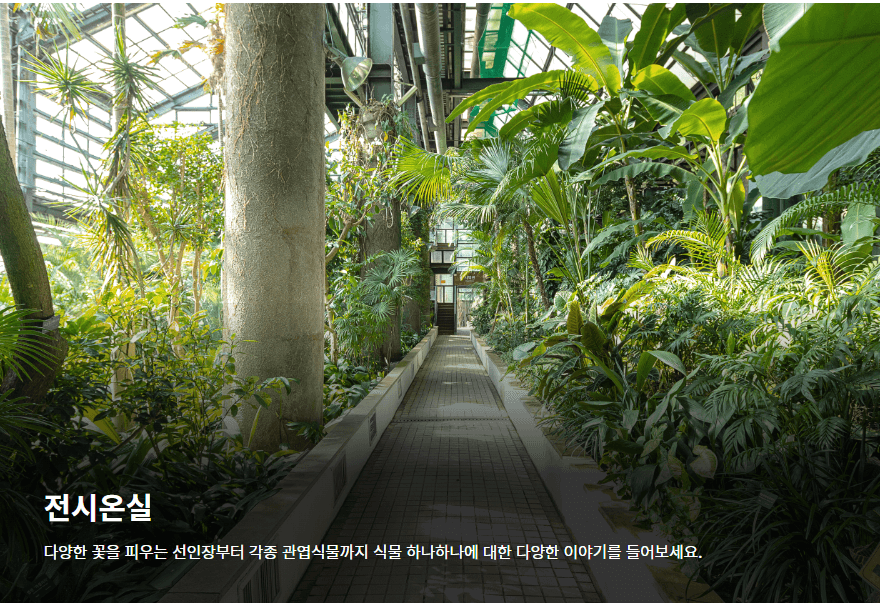 전시온실