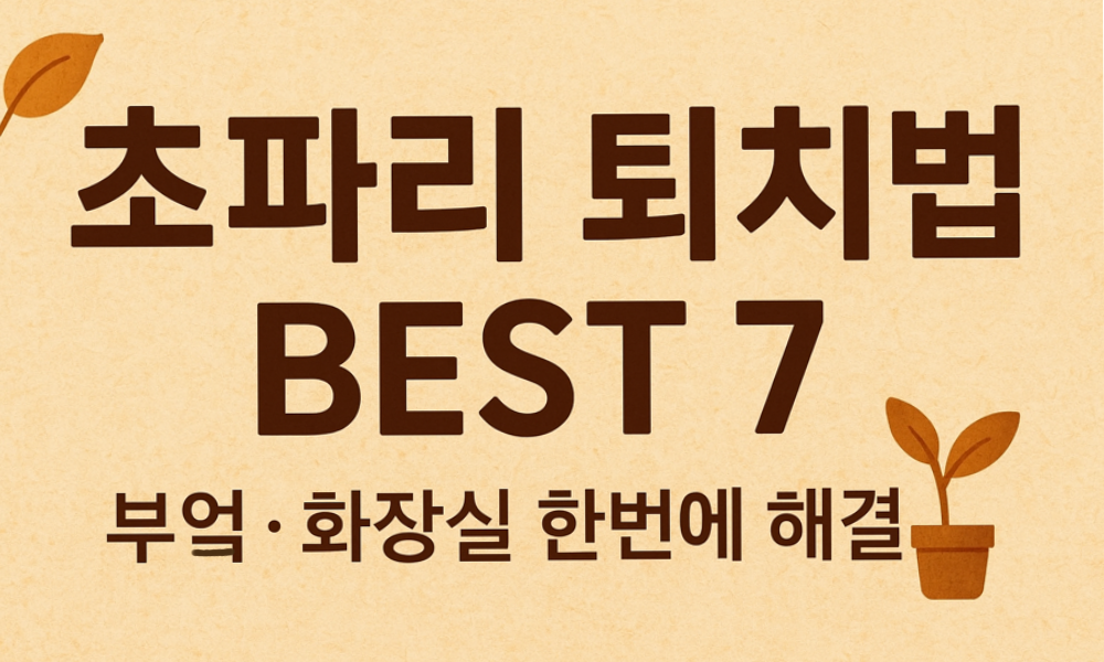 &ldquo;초파리 퇴치법 BEST 7 &ndash; 부엌과 화장실에서 효과적으로 해결하는 방법을 소개하는 가로형 썸네일&rdquo;
&ldquo;Fruit Fly Removal BEST 7 &ndash; Horizontal thumbnail showing effective solutions for kitchen and bathroom&rdquo;