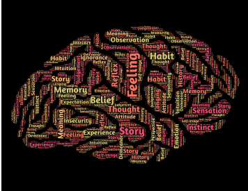 습관은 어떻게 뇌에서 만들어지는가?