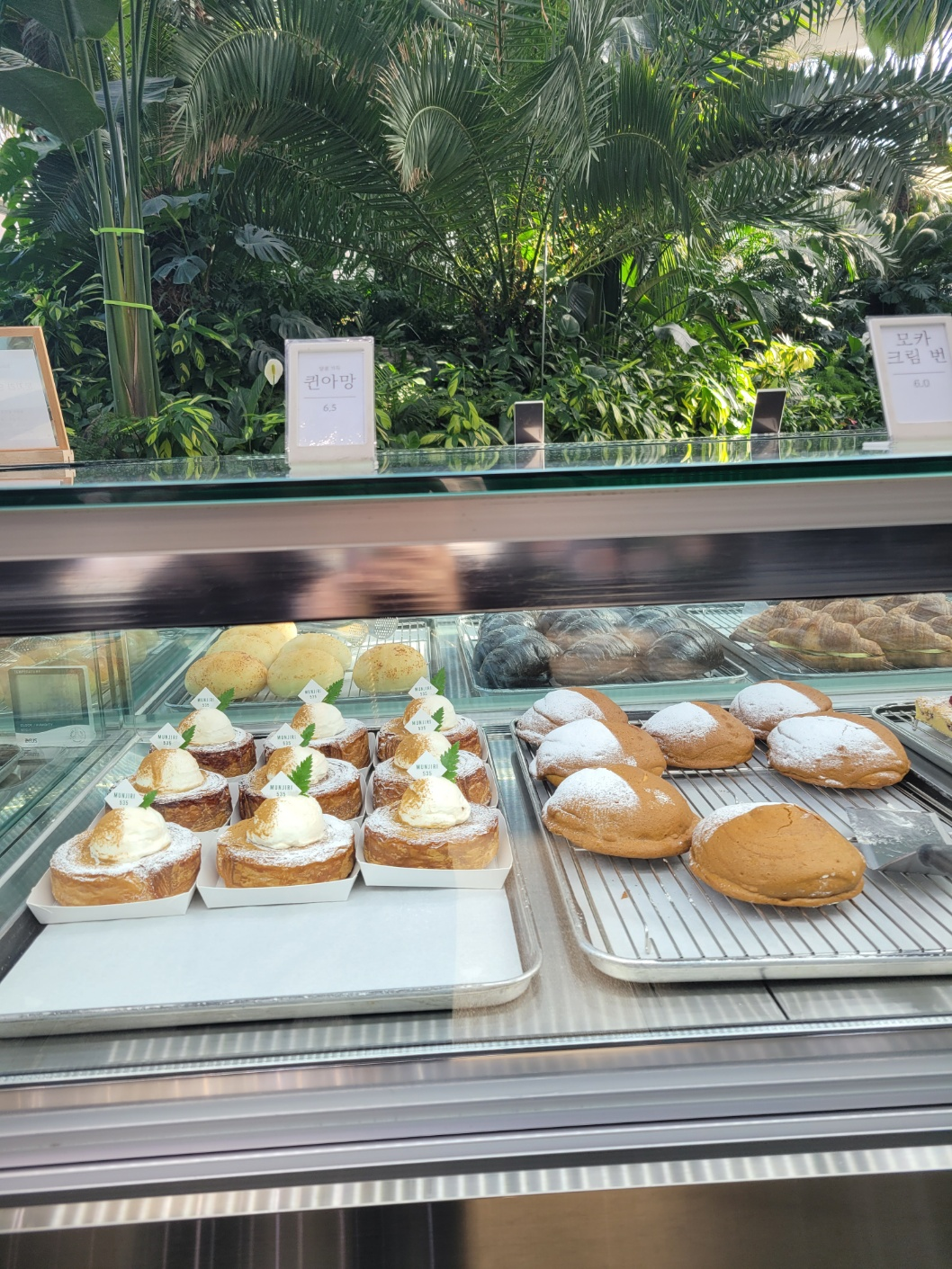 파주 문지리535 식물원 카페 빵메뉴