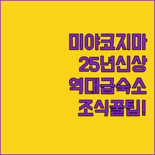 오키나와 미야코지마 호텔 추천 5곳 ..