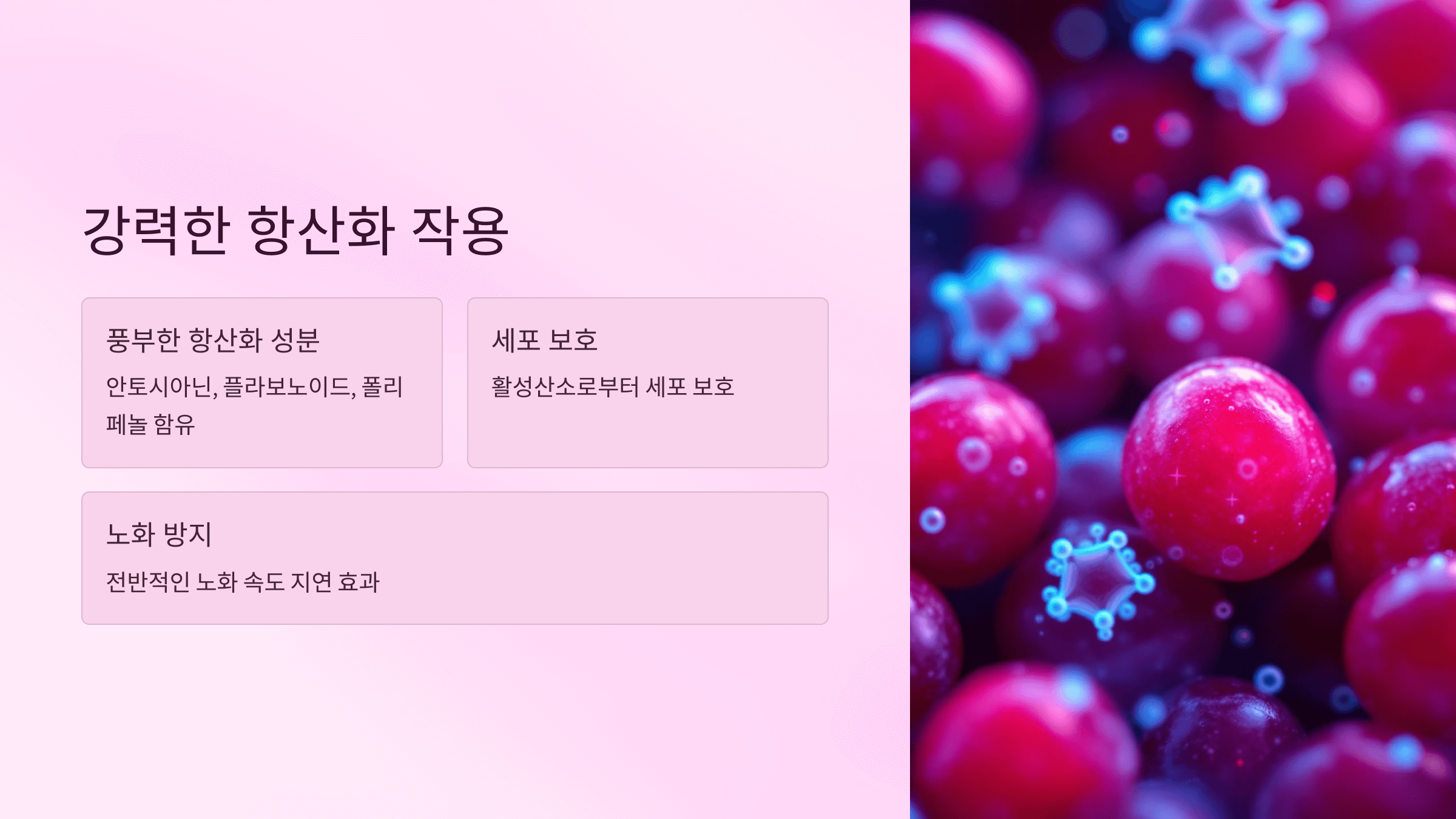 크랜베리 사진입니다.