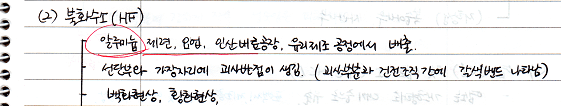 불화수소