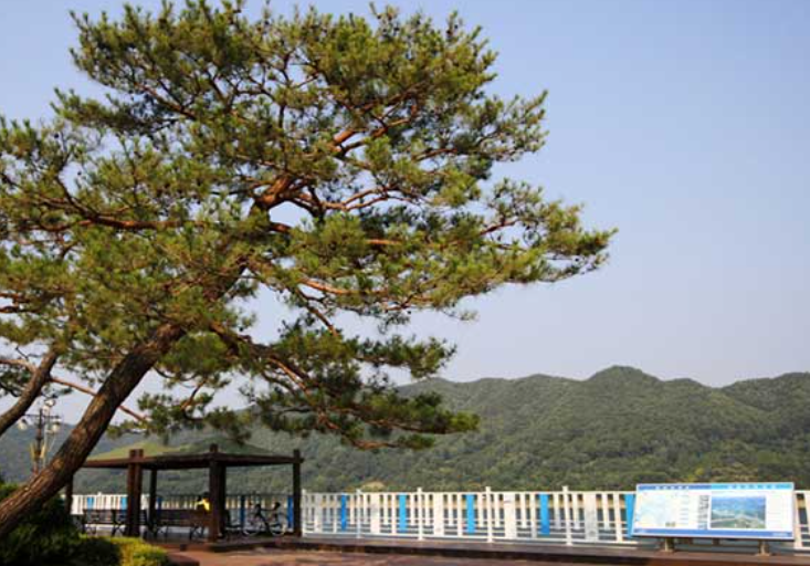 대전 가볼만한곳 베스트10