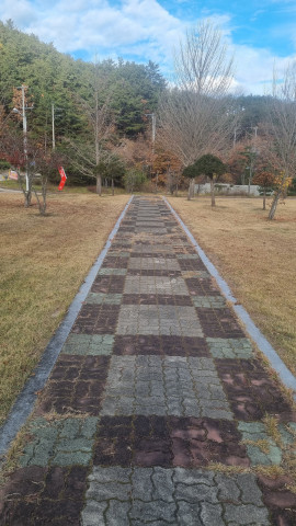 안동 뒤뜰카페 돈까스 맛집 임동 임하댐 근처 식당 추천