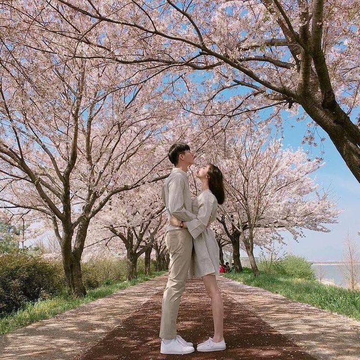벚꽃아래 데이트 사진