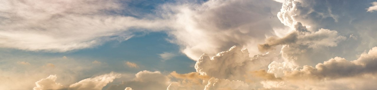 청년 농업인의 기회와 도전 – 지금이 적기입니다!