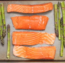 단백질 많은 음식 식물성 동물성