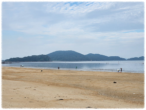 방아머리해변
