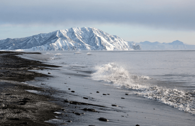 제로웨이스트 패키징의 기술 혁신과 소비자 행동 변화