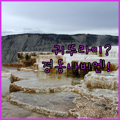 카페 사무실용 전기 온수기 추천 귀뚜..