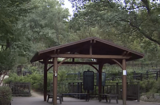 신림동 공원 폭행 사건 현장