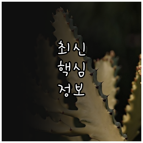 청소년 지도자 2025 무료 권리교육..