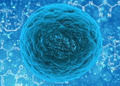 잠복결핵 검사 확인서 인터넷 발급 신청 방법