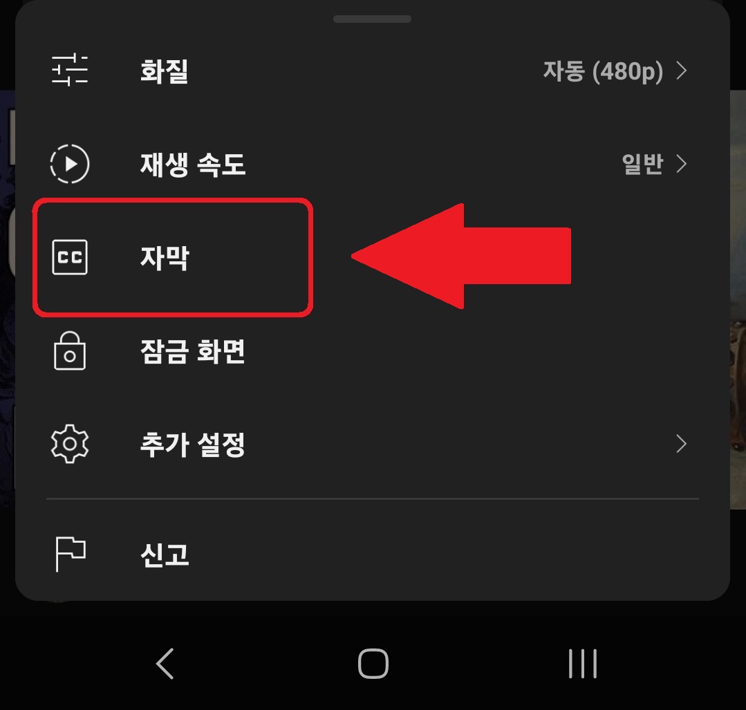유튜브 한국어 한글 자막 보는 방법 2