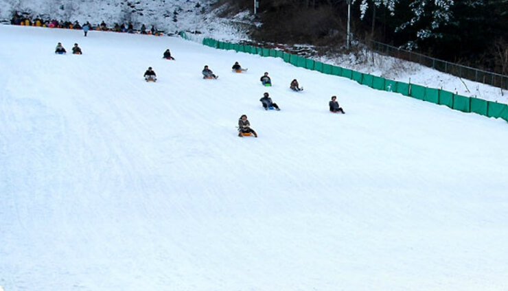 가평 사계절 썰매장
