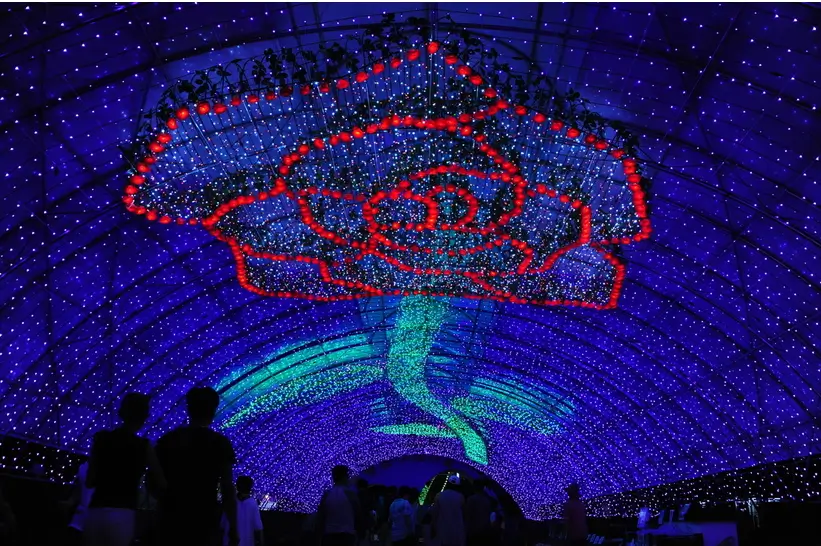 겨울 여행지 추천 태안 빛축제