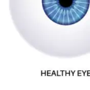 백내장 초기증상 백내장이란 무엇인가 &mdash; 눈 속 렌즈가 흐려지는 순간