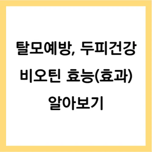 비오틴 효능