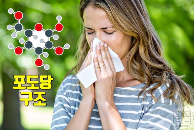 설탕 많이 먹으면 면역력 독감 설탕부작용