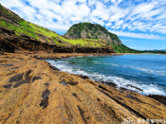 최저가 제주도 항공권 예매