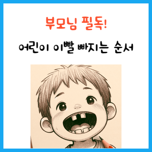이빨 빠지는 순서