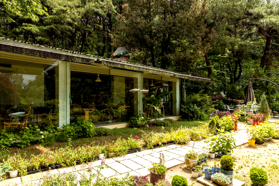 경북 칠곡 시크릿 가든(비밀의 화원)