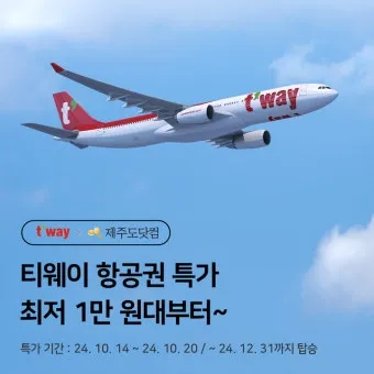 2025년 티웨이 항공 보조 배터리 용량 위탁 수하물 규정_14