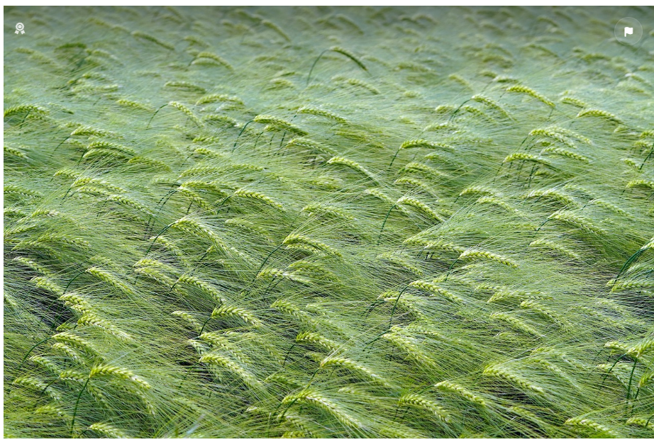 시원한 자연 이미지