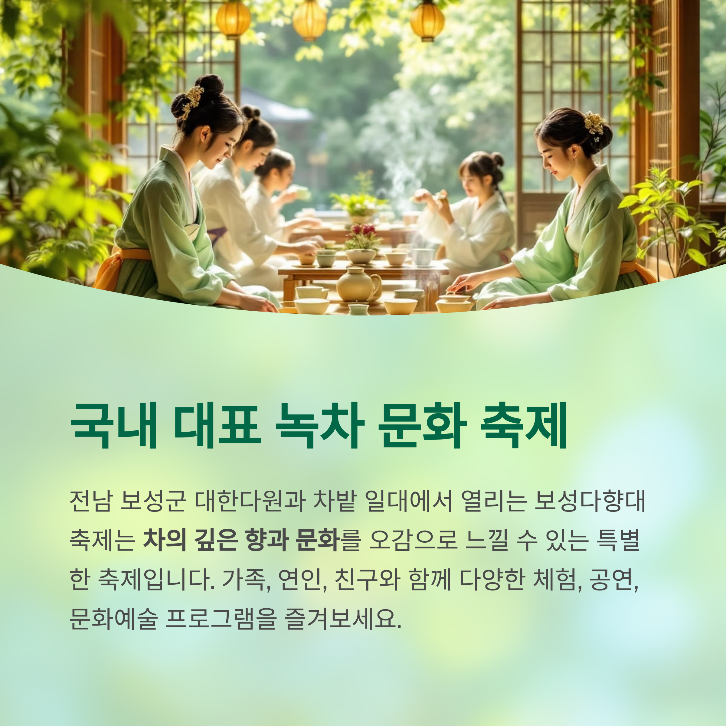 녹차향 가득한 힐링 여행, 보성다향대축제 완벽 가이드