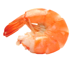 3. 키토산/키토올리고당