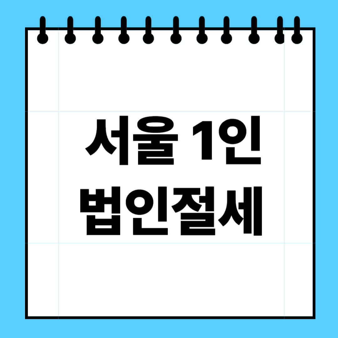 서울 1인 법인 절세