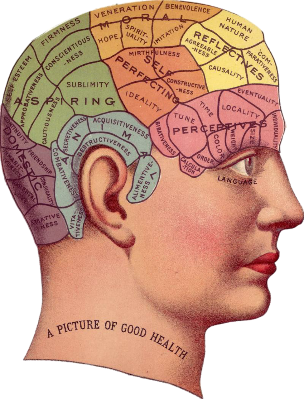 바이오&middot;헬스케어 특허 출원 현황과 전망