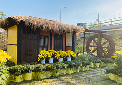 2025 장성 황룡강 가을꽃축제🌸 국화·코스모스·포토존·주차·일정 총정리!