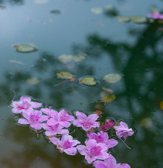 여수 가볼만한곳